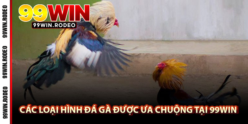Đá gà 99WIN – Trải nghiệm trận đấu mãn nhãn, cá cược an toàn mỗi ngày 3 Các loại hình đá gà được ưa chuộng tại 99WIN
