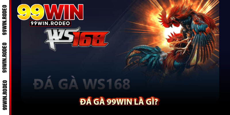 Đá gà 99WIN – Trải nghiệm trận đấu mãn nhãn, cá cược an toàn mỗi ngày 2 Đá gà 99WIN là gì?