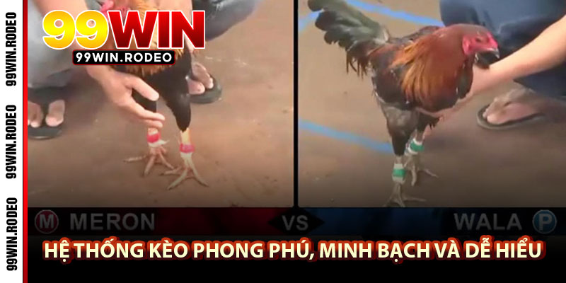 Đá gà 99WIN – Trải nghiệm trận đấu mãn nhãn, cá cược an toàn mỗi ngày 4 Hệ thống kèo phong phú, minh bạch và dễ hiểu