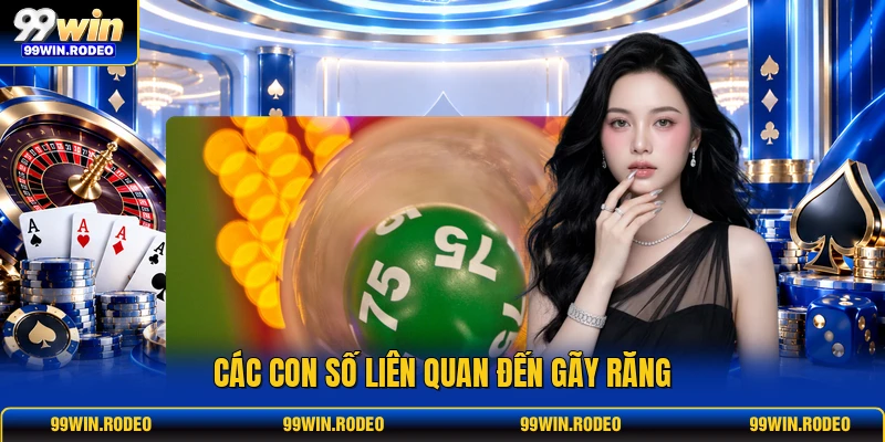 Các con số liên quan đến gãy răng
