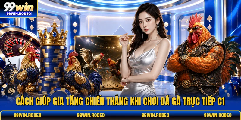 Cách giúp gia tăng chiến thắng khi chơi Đá gà trực tiếp C1