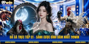 Đá Gà Trực Tiếp C1 - Sảnh Cược Đình Đám Nhất 99WIN