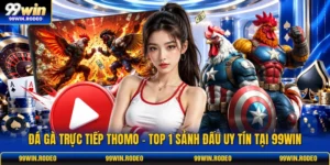 Đá Gà Trực Tiếp Thomo - Top 1 Sảnh Đấu Uy Tín Tại 99WIN