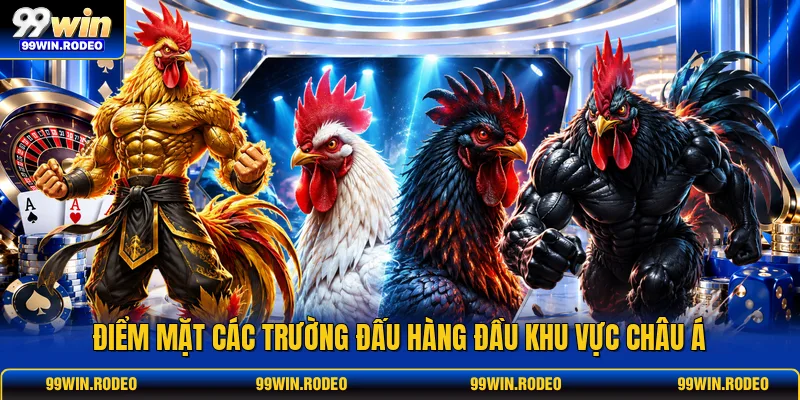 Điểm mặt các trường đấu hàng đầu khu vực châu Á
