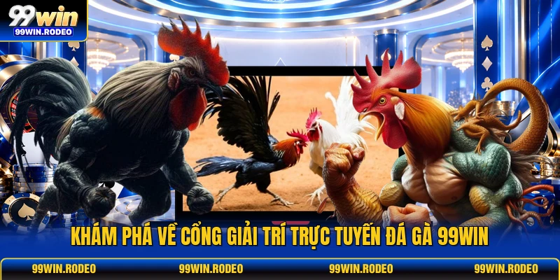Khám phá về cổng giải trí trực tuyến đá gà 99WIN