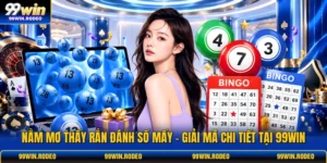 Nằm Mơ Thấy Rắn Đánh Số Mấy - Giải Mã Chi Tiết Tại 99WIN
